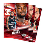 2026 Official NBL27 Illawarra Hawks Team Card Set