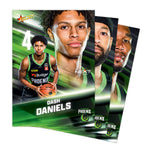 2026 Official NBL27 South East Melbourne Phoenix Team Card Set
