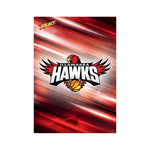 2026 Official NBL27 Illawarra Hawks Team Card Set
