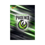 2026 Official NBL27 South East Melbourne Phoenix Team Card Set