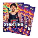 2026 Official NBL27 Illawarra Hawks Team Card Set